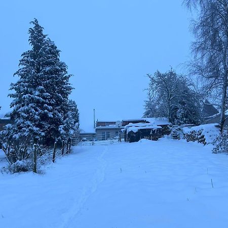 Ferienwohnung Classen Eifel Schleiden Buitenkant foto