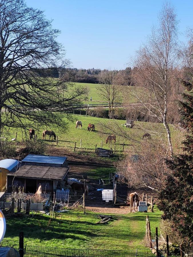 Ferienwohnung Classen Eifel Schleiden Buitenkant foto
