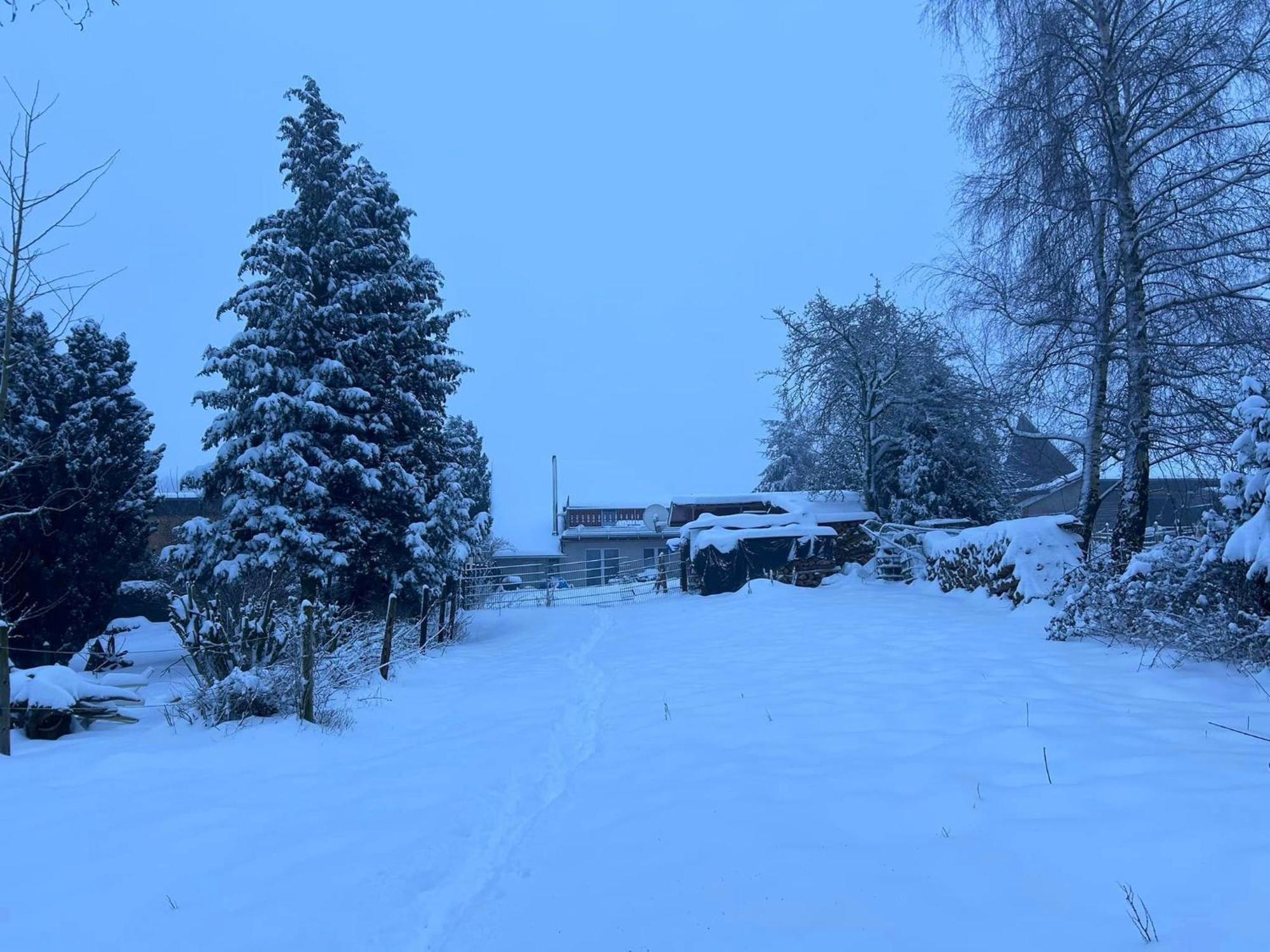 Ferienwohnung Classen Eifel Schleiden Buitenkant foto